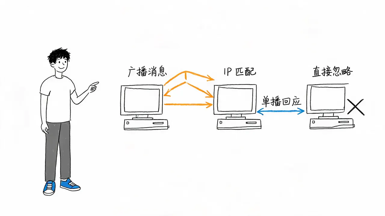 ARP 广播查询与单播响应流程