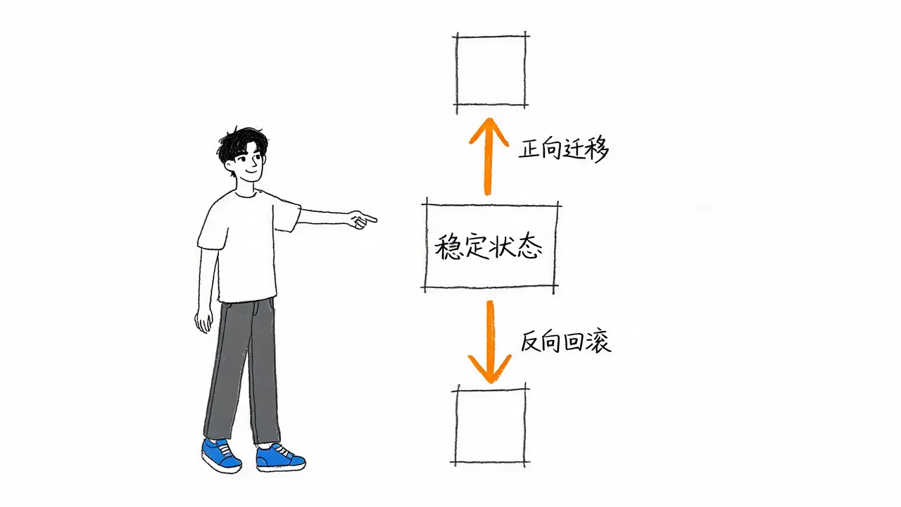 双向迁移与回滚机制