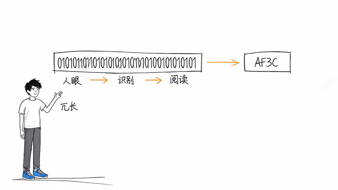 二进制冗长与十六进制简洁的对比